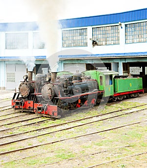 steam locomotives in depot, Kostolac, Serbia