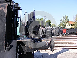 Steam locomotives photo