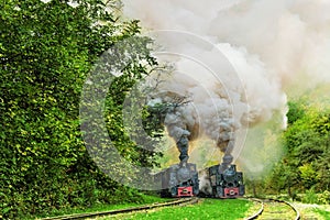 Steam locomotives racing in the Vaser Valley, Mocanita Maramures, Romania