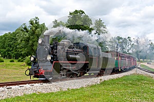 Steam narrow-gauge railway locomotive photo