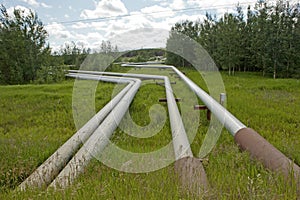 Steam pipes, Alberta