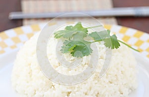 Steam rice in white bowl with chopstick