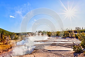 Steam Rises From Geyser at Norris Geyser Basin in Yellowstone National Park