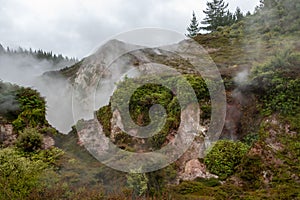 Steam rises from prehistoric like landscape, New Zealand