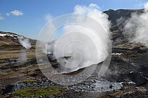 Steam Rising from Geothermal Activity in Iceland