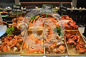 Steam seafood crab chilled on ice in wooden bucket at hotel buffet l