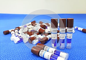 Steam Sterilization Biological Indicator