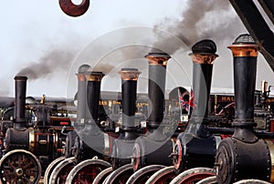 Steam traction engines photo