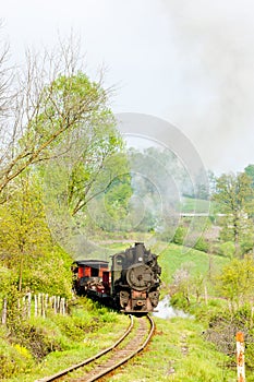 Steam train