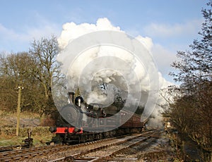 Steam Train in Bronte Country