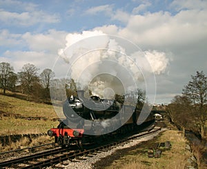 Steam Train in Bronte Country