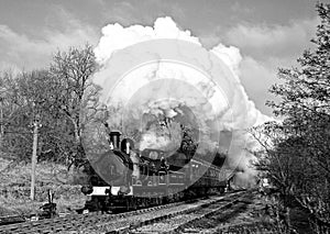 Steam Train in Bronte Country (vintage)