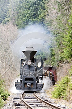 Steam train, Ciernohronska Railway, Slovakia