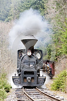 Steam train, Ciernohronska Railway, Slovakia