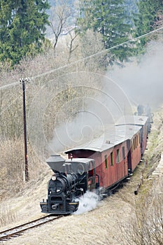 Parný vlak, Čiernohronská železnica, Slovensko