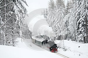 Steam train driving through snowy woods