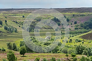 Steam train, going through Pickering Beck, North Yorkshire Moors.