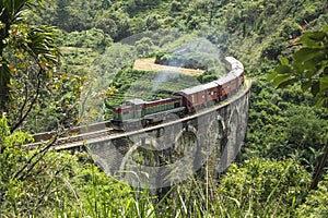 Steam train in the jungle, Ella, Sri Lanka photo