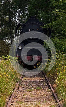 Steam train leaves the forest front view