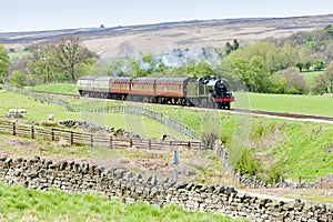 steam train, North Yorkshire Moors Railway & x28;NYMR& x29;, Yorkshire and