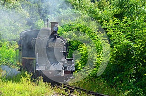 Steam Train