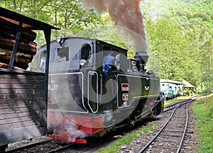 Steam Train