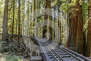 Steam Train Railroad and Trestle Bridge in Redwood Forest. photo