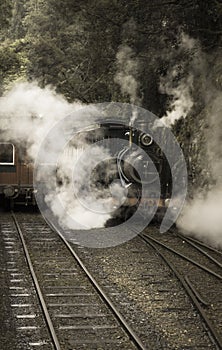 Steam train in the rain forest