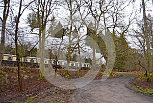 A Steam Train Speeding Through The Trees