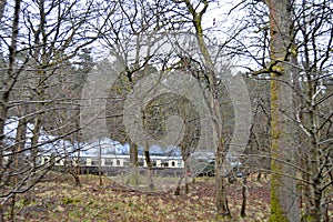 A Steam Train Speeding Through The Woods