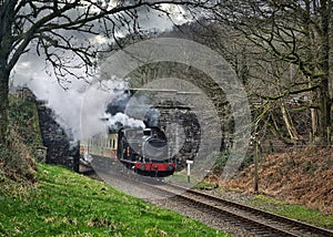 Steam Train under bridge Haverthwaite