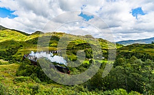 Steam Train on Viaduct