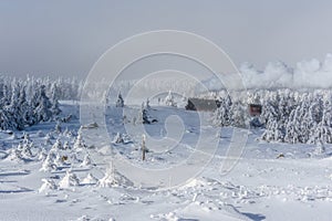 Steam train on the way to Brocken, Harz, through winter landscape