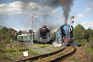 steam trains from Krupa station, steam locomotive called Parrot photo