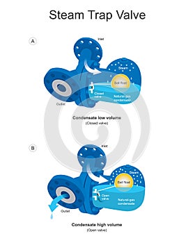 Steam Trap Valve. A steam trap is an automatic valve designed to discharge condensate from steam pressure in tank which use for
