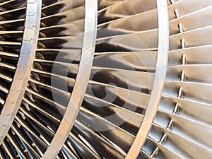 Steam turbine rotor blades