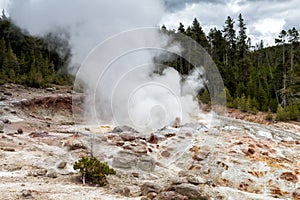 Steamboat Geyser at Norris Geyser Basin