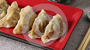 Steamed and baked Japanese gyoza, dumplings close up