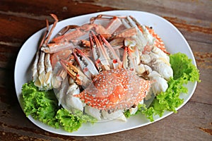 Steamed blue crab or horse crab on white plat against wood background. Top view