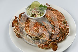 Steamed blue crab on white plate with spicy seafood sauce.