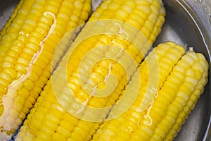 Steamed or boiled sweet corn cooked in hot pot , ripe corn cobs sweetcorn for food