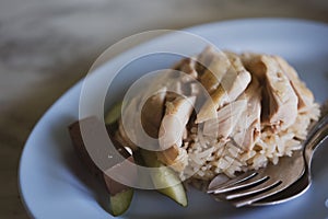 Steamed chicken with rice served with cucumber in a blue dish