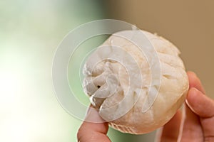 Steamed chinese bun closeup