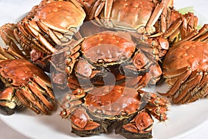 Steamed Chinese hairy crabs