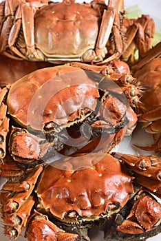 Steamed Chinese hairy crabs