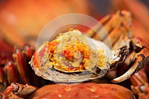 Steamed chinese mitten crab or hairy crab with crab roe