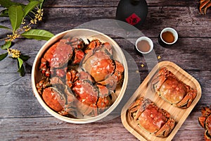 Steamed chinese mitten crab, shanghai hairy crab