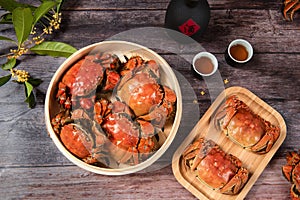 Steamed chinese mitten crab, shanghai hairy crab photo