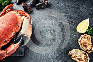 Steamed crab and fresh oysters on dark background. Sea food dinner concept