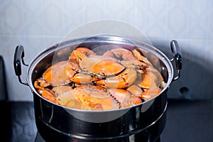 Steamed crab in pot. live crabs in a pot. steaming shanghai hairy crabs